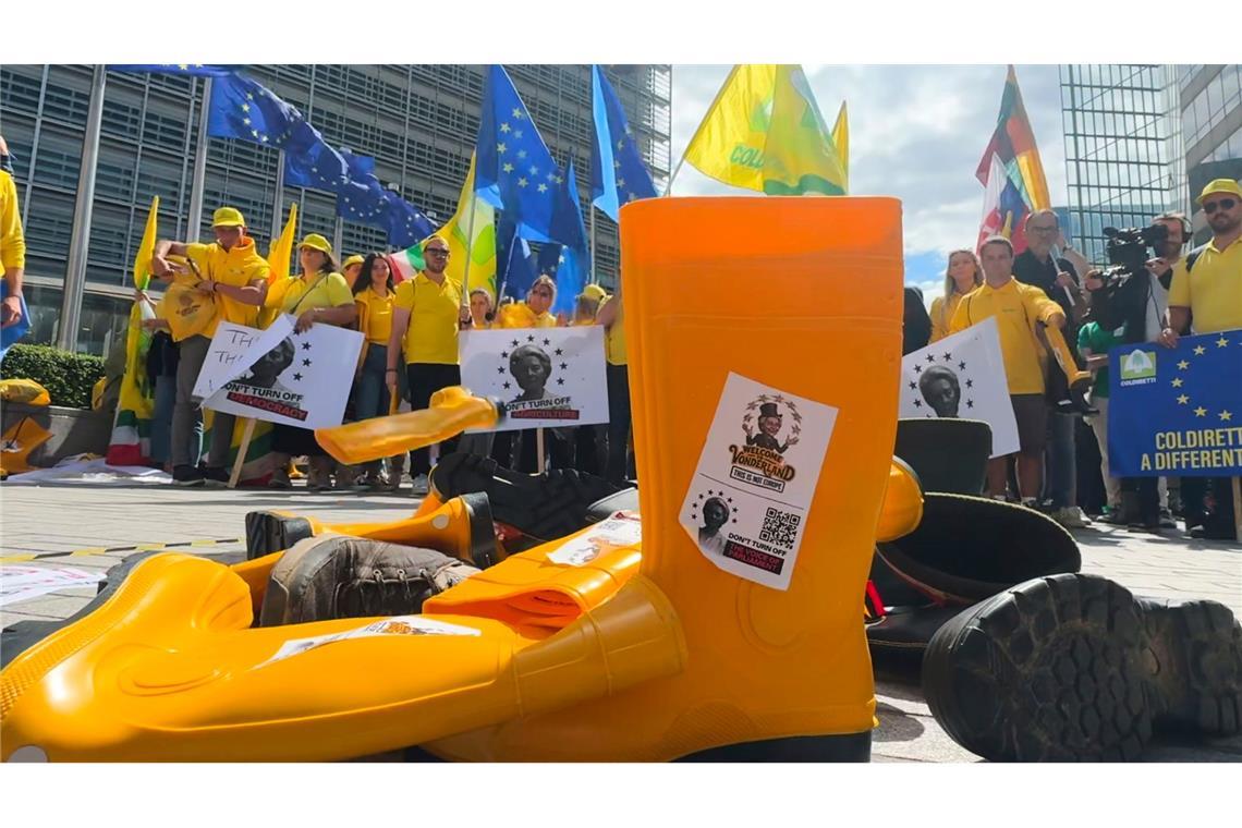 Die EU-Abgeordneten wollen Europas Landwirten mehr Geld fest zusagen. (Archivbild)