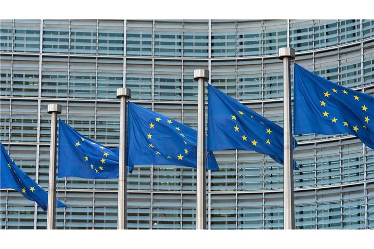 Die EU-Kommission hat im vergangenen Jahr einen deutlichen Anstieg an Warnmeldungen für Verbraucherprodukte registriert. (Symbolbild)