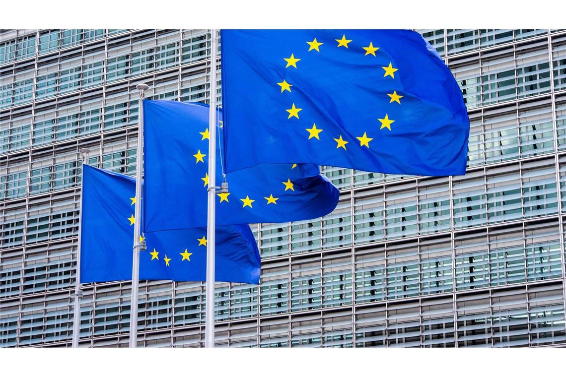 EU-Kommission verlangt Auskunft von US-Tech-Riesen zu Betrug Die EU-Kommission verlang von vier großen Online-Plattformen Auskünfte. (Symbolbild)