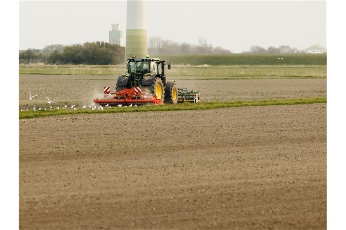 Ringen um EU-Agrarreform - Womöglich entscheidende Phase Die EU-Landwirtschaftsminister beraten über eine europäische Agrarreform. Eine Einigung könnte es noch diese Woche geben. Foto: Frank Molter/dpa