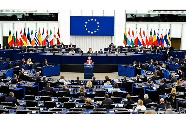 Die EVP ist im Europäischen Parlament die mit Abstand größte Fraktion - bei Abstimmungen braucht sich aber dennoch Partner. (Archivbild)