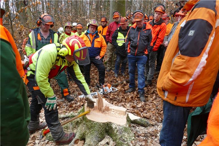 Die Experten der landwirtschaftlichen Berufsgenossenschaft vermitteln die neuesten Erkenntnisse zur sicheren Baumfällung. Fotos: Ute Gruber