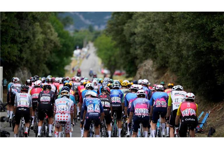 Die Fahrer auf der 17. Etappe der Tour de France auf dem Weg nach Valence.