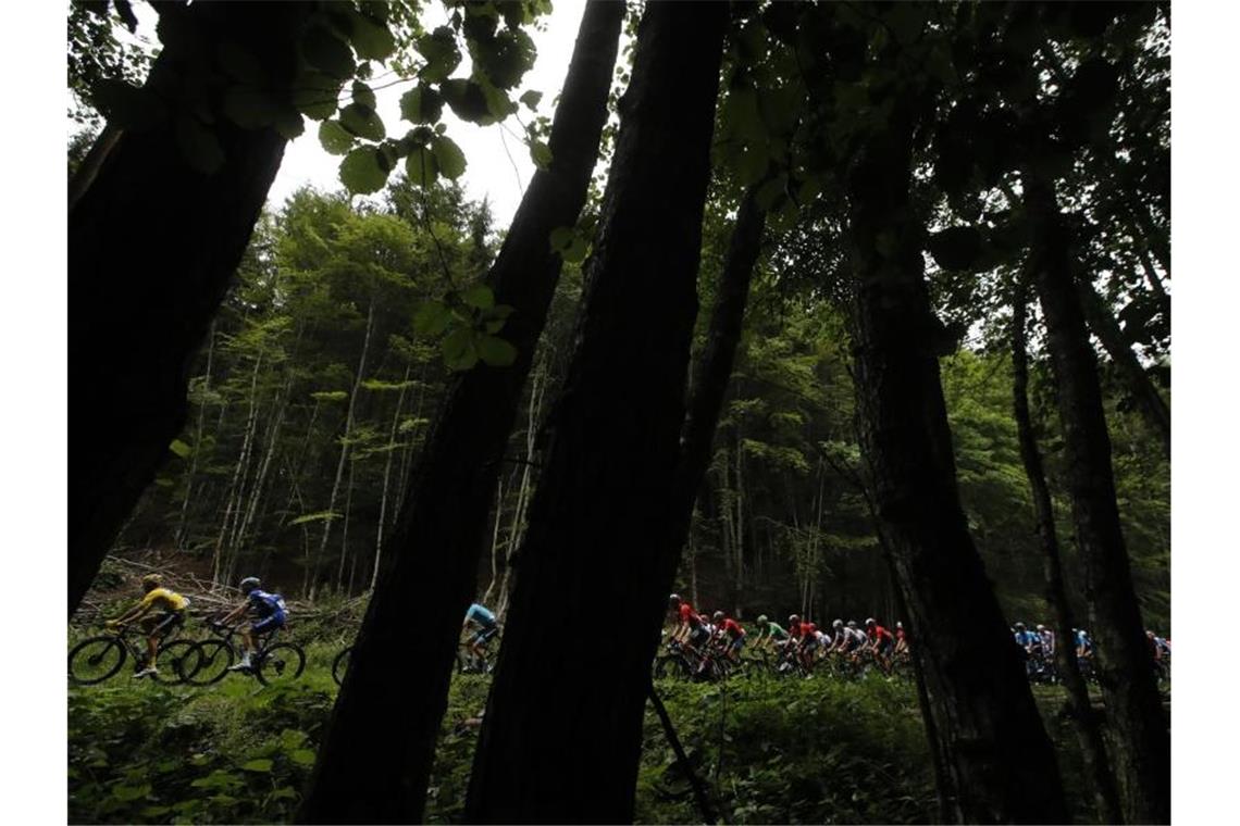 Das bringt der Tag bei der Tour de France Die Fahrer haben bei der siebten Etappe der Tour von Belfort nach Chalon-sur-Saône 230 Kilometer zu überwinden. Foto: Christophe Ena/AP