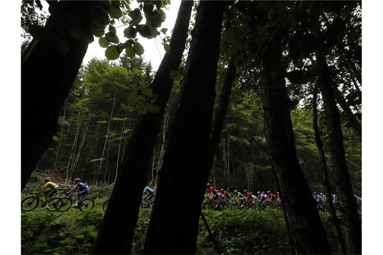 Die Fahrer haben bei der siebten Etappe der Tour von Belfort nach Chalon-sur-Saône 230 Kilometer zu überwinden. Foto: Christophe Ena/AP