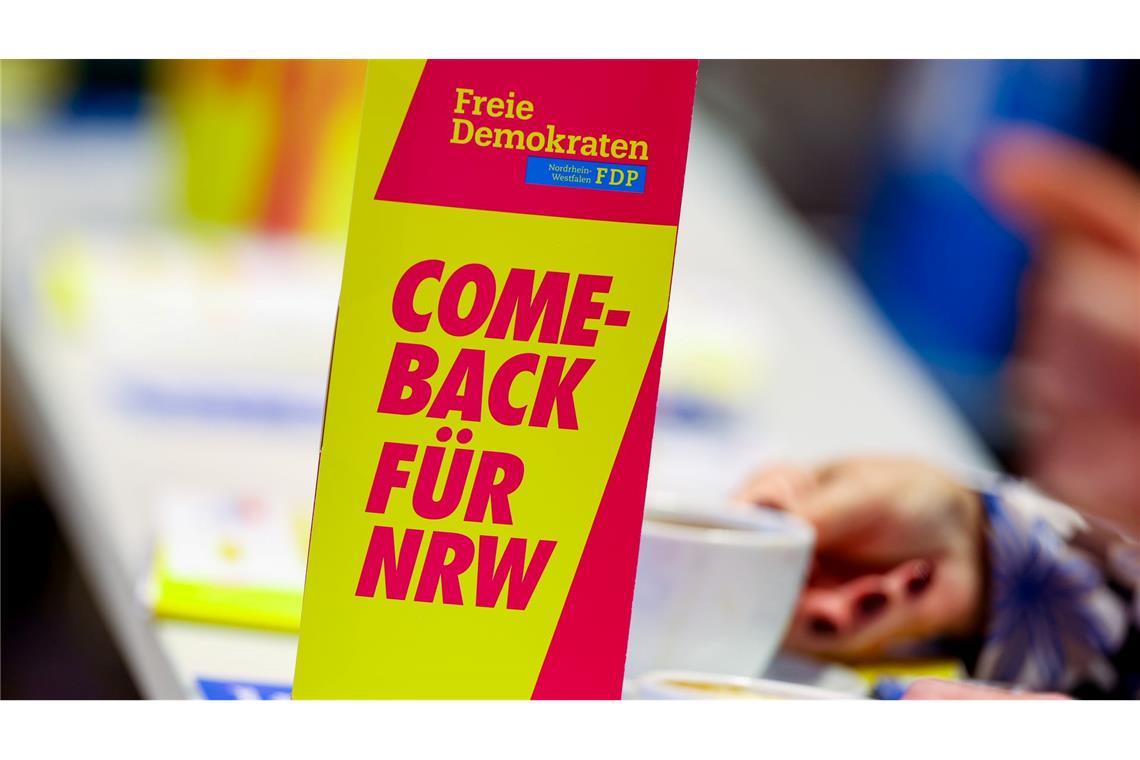 Die FDP kämpft um ihr politisches Überleben.
