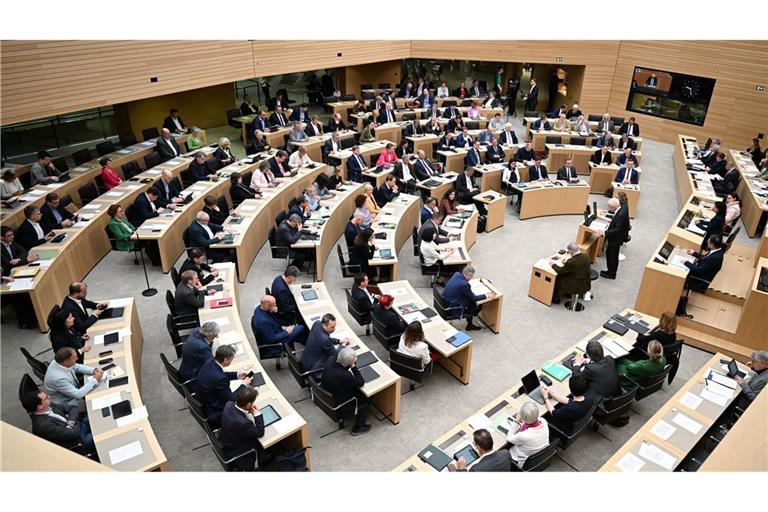 Die FDP-Landtagsfraktion hatte die Anfrage gestellt (Symbolbild).