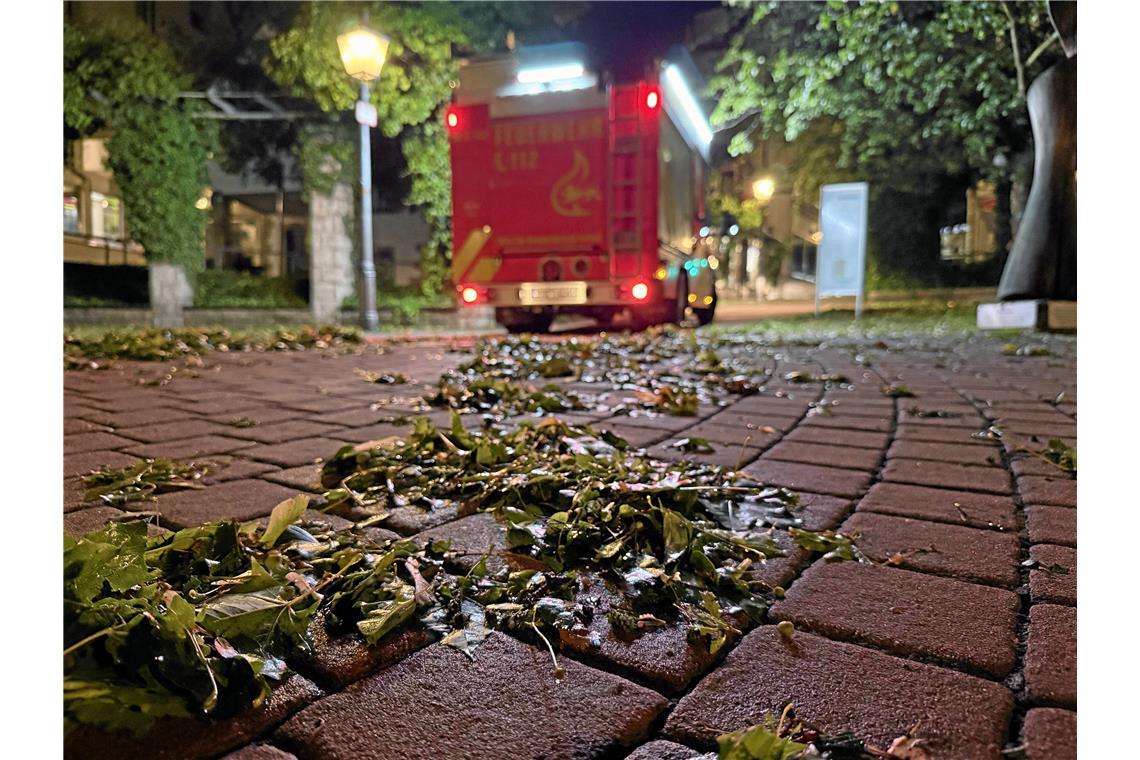 Die Feuerwehr hat zahlreiche Einsätze.