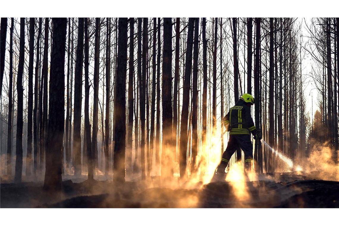 Die Feuerwehr ist beschäftigt mit Nachlöscharbeiten nach dem Waldbrand bei Sonnewalde.