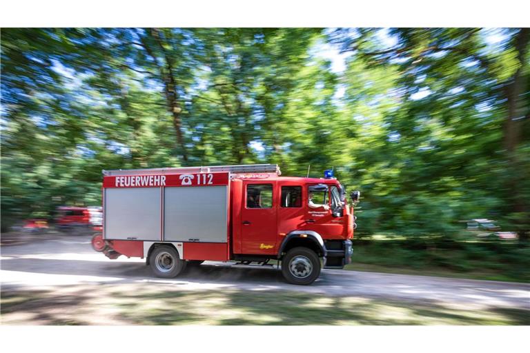 Die Feuerwehr konnte einen Waldbrand verhindern (Symbolbild).