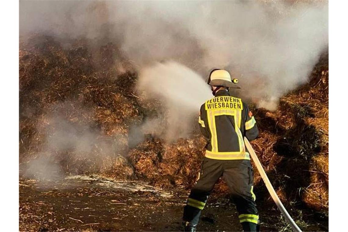 Die Feuerwehr löscht den rund 2500 Kubikmeter großen brennenden Misthaufen. Foto: --/Feuerwehr Wiesbaden/dpa