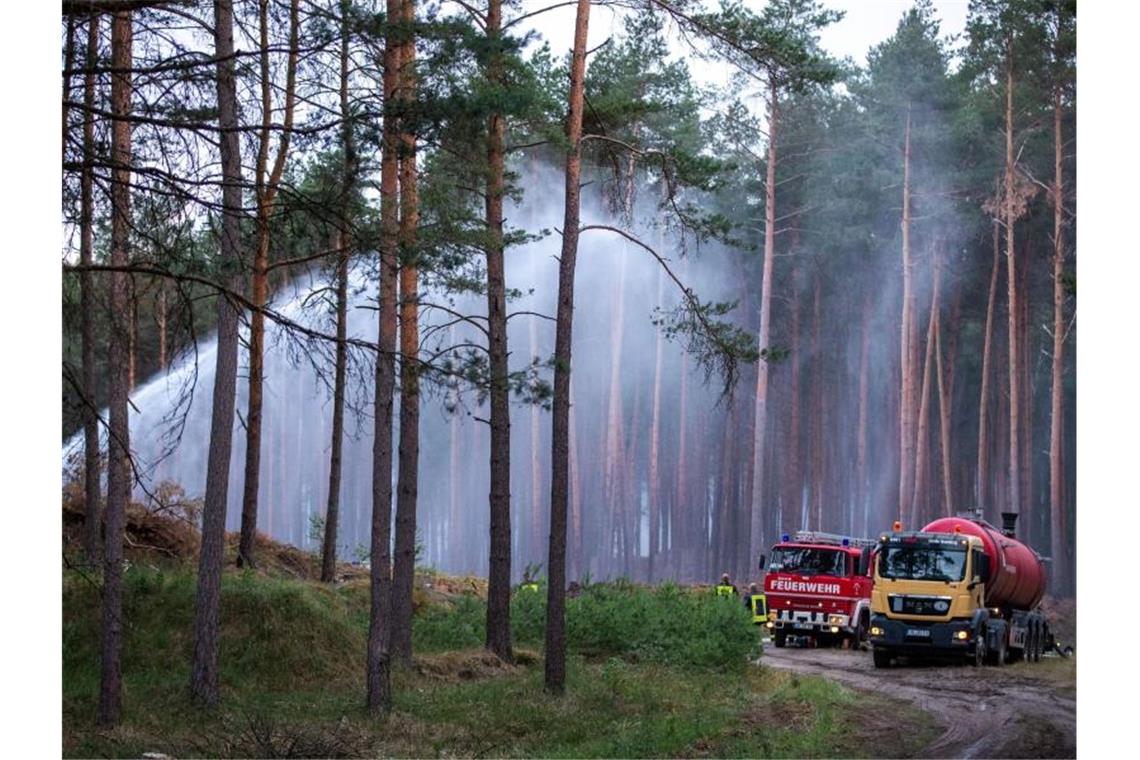 Wasserwerfer und Räumpanzer bei Brandbekämpfung Die Feuerwehr löscht mitten im Wald vom Boden aus. Foto: Jens Büttner