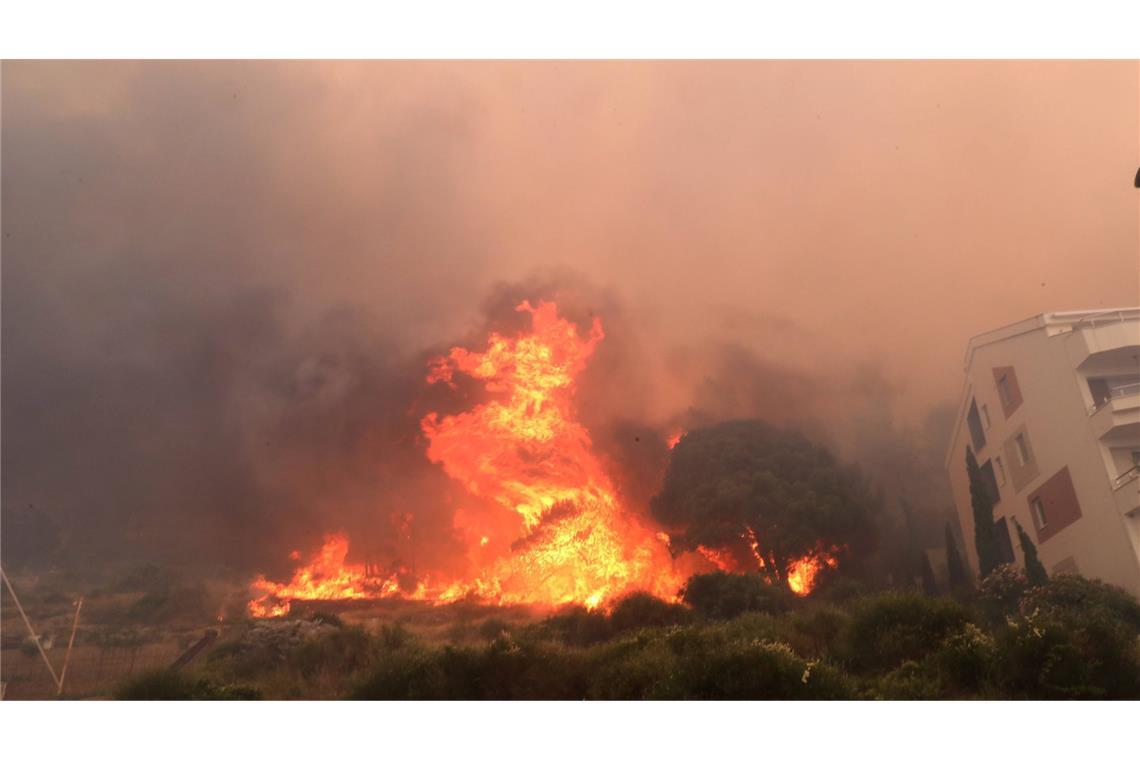 Waldbrände an der Adria – Touristen fliehen vor Flammen Die Feuerwehr muss gegen lodernde Flammen kämpfen.