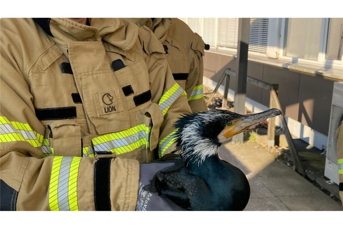 Die Feuerwehr rettet auch regelmäßig Tiere in Not.