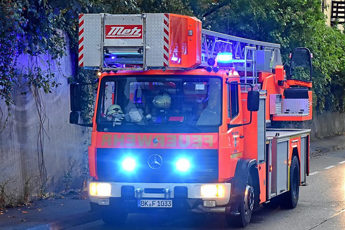 Althütte: Jugendliche stecken Holzhütte in Brand Die Feuerwehr war mit fünf Fahrzeugen und 30 Wehrleuten im Einsatz.