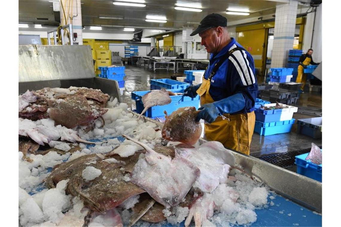 Frankreichs Fischer verärgert über Großbritannien Die Fischfang-Lizenzen haben für Streit bei den Verhandlungen über ein Brexit-Abkommen im vergangenen Jahr gesorgt. Foto: Fred Tanneau/AFP/dpa/Archiv