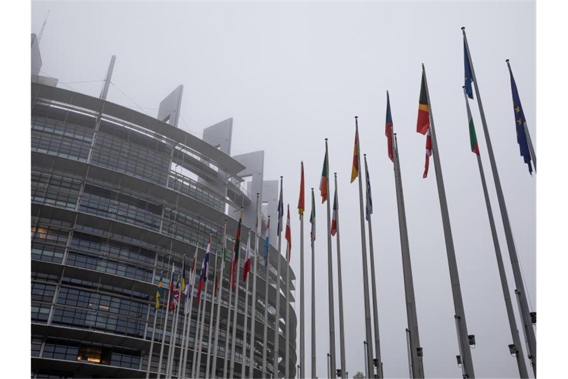 Durchbruch im EU-Haushaltsstreit: Mehr Geld für Klimaschutz Die Flaggen der Mitgliedstaaten vor dem EU-Parlament in Straßburg. Foto: Philipp von Ditfurth/dpa