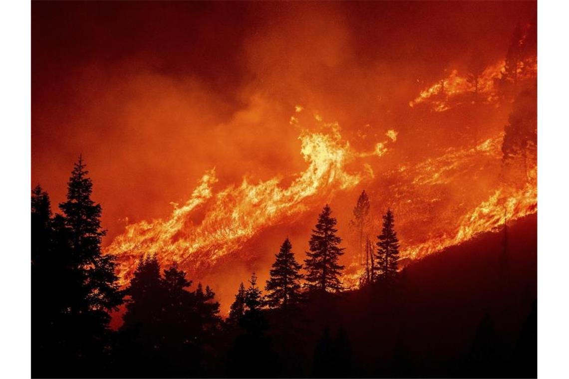 Waldbrände bedrohen beliebtes Ausflugsgebiet in Kalifornien Die Flammen des Caldor-Feuers wüten an einem Hang über dem Christmas Valley. Foto: Noah Berger/AP/dpa