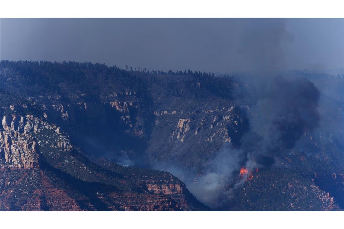 Rauchwolken über dem Grand Canyon: Feuer weitet sich aus Die Flammen zeigen den Angaben zufolge "extremes Brandverhalten".