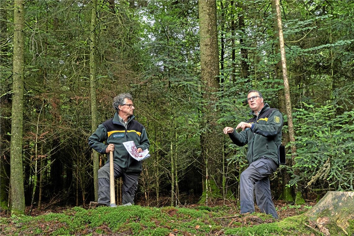 Wald im Krisenmodus Die Förster Dieter Seitz und Andreas Schlär (von links) hoffen, dass gemischte Bestände eine gewisse Sicherheit bieten. Wichtig ist, dass keine großen Flächen absterben.