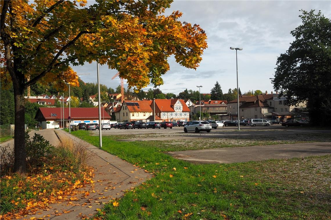 Die freie Fläche beim Juze wird heute als Parkplatz genutzt. Bis in sechs Jahren soll an dieser Stelle ein Park mit direktem Zugang zur Murr entstehen.Foto: IBA 27/Tobias Schiller