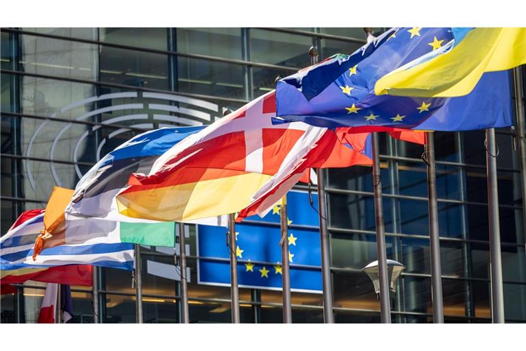 Die frühere Rechtsaußen-Fraktion ID im Europäischen Parlament soll rund 4,3 Millionen Euro aus EU-Geldern missbräuchlich verwendet haben (Archivbild).