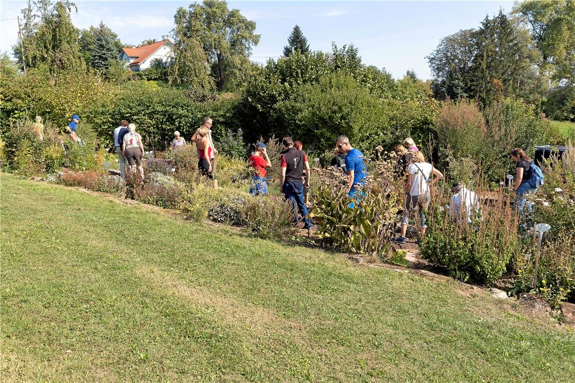 Die    Führungen durch den Kräutergarten, der auf den Kaisersbacher Kräuterterra...