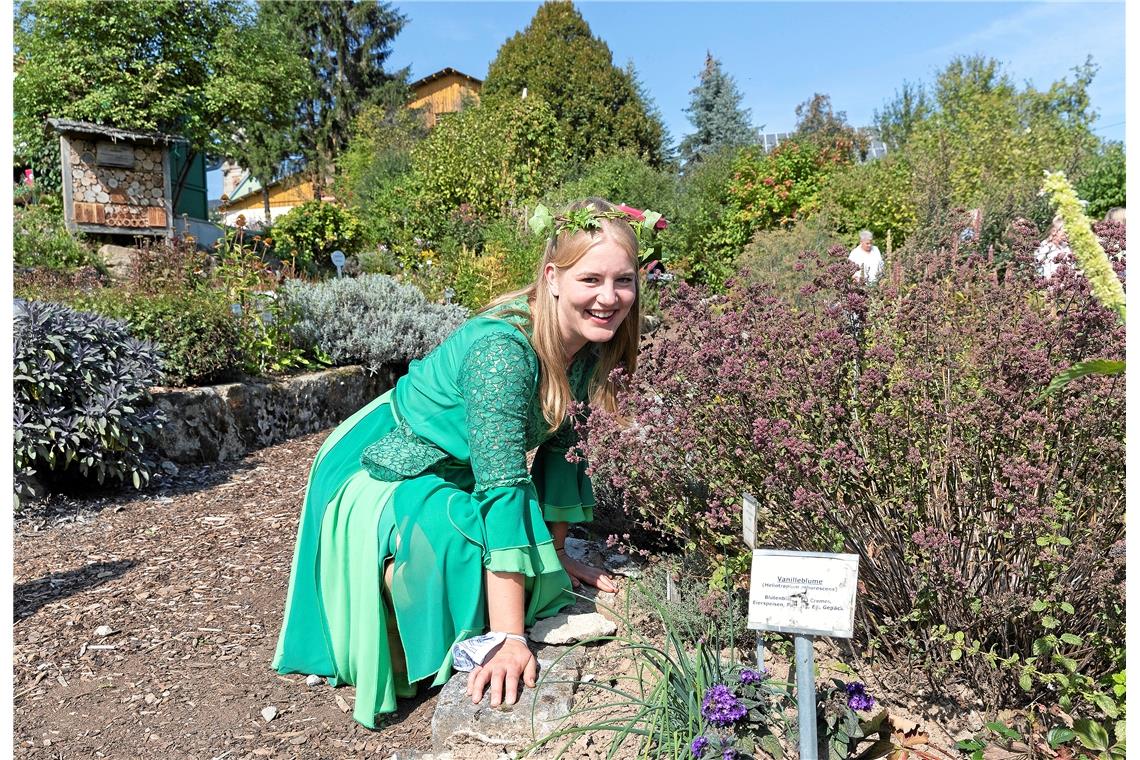 Die   Führungen durch den Kräutergarten, der auf den Kaisersbacher Kräuterterras...