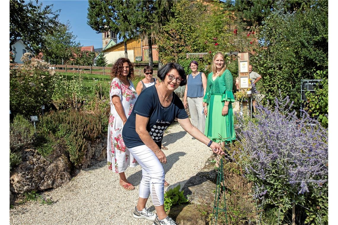 Die   Führungen durch den Kräutergarten, der auf den Kaisersbacher Kräuterterras...