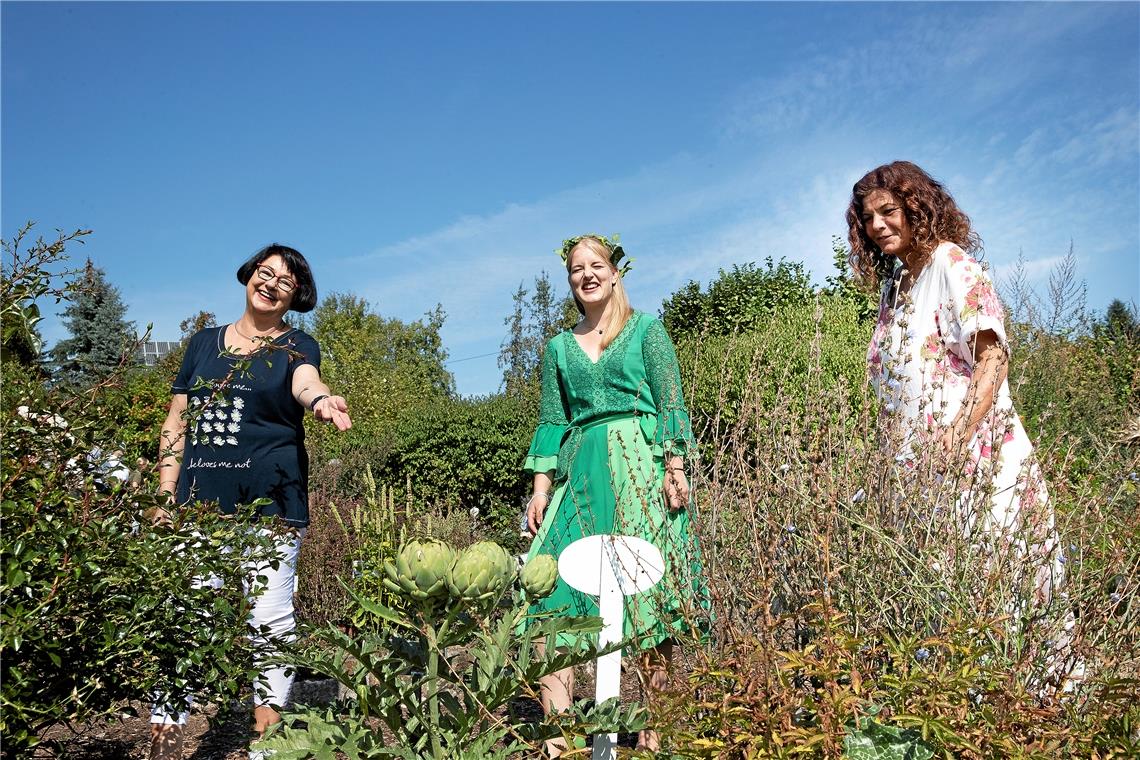 Die   Führungen durch den Kräutergarten, der auf den Kaisersbacher Kräuterterras...