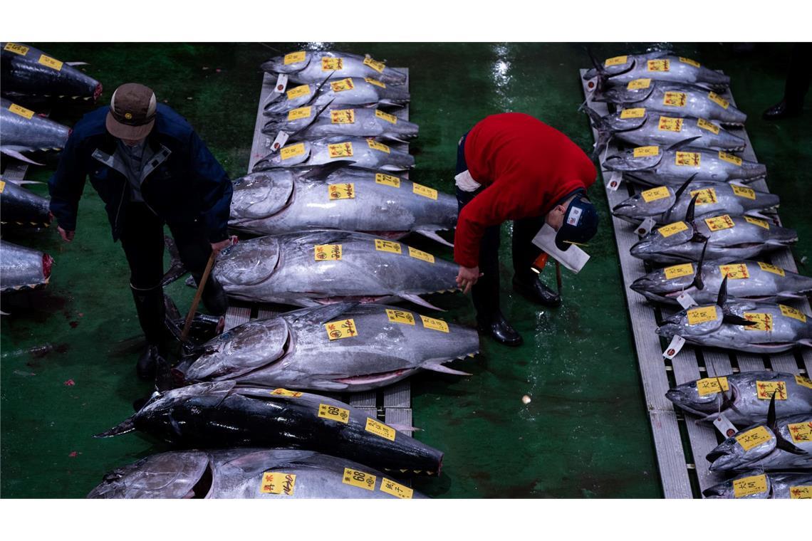 Die Gebotspreise für Thunfisch haben sich nach einem starken Einbruch durch die Coronavirus-Pandemie erholt.