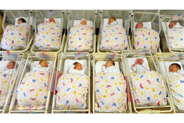 Die Geburtenzahl in Deutschland ist im vierten Jahr in Folge gesunken (Symbolfoto).