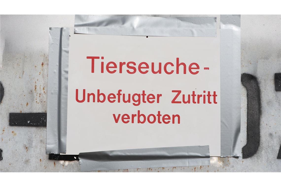 Vogelgrippe breitet sich aus – Stallpflicht greift Vogelgrippe breitet sich aus – Stallpflicht greift