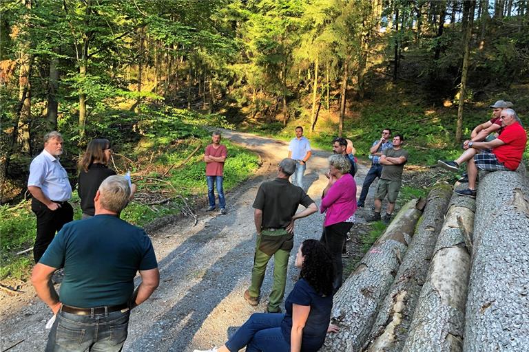 Die Gemeinderäte bekamen bei ihrem Waldbegang keine guten Nachrichten zu hören. Die Holzpreise sind im Keller, die Bäume extrem hitzegeschädigt. Foto: privat
