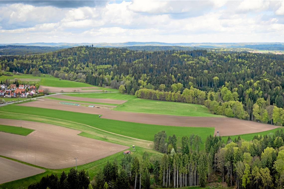 Die Gemeinderäte listeten eine ganze Reihe an Gründen auf, die gegen einen Windpark im Ochsenhau sprechen. Foto: Alexander Becher