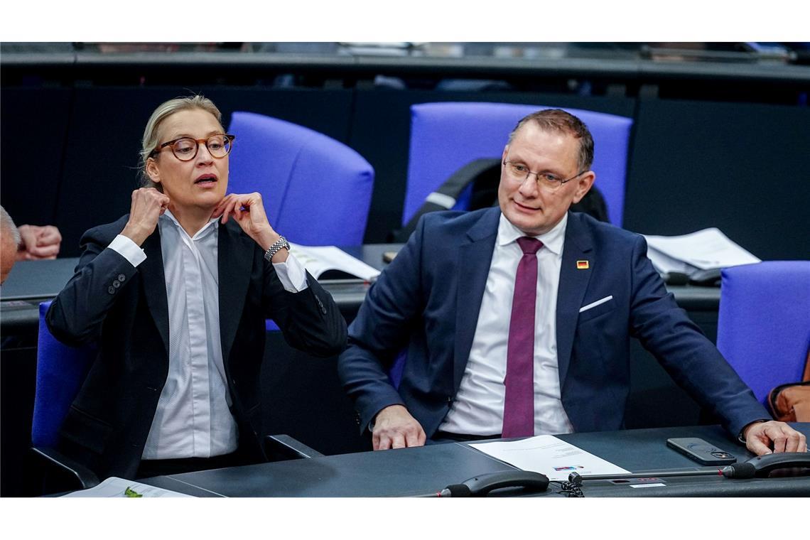 Die Gespräche von Alice Weidel, Co-Fraktionsvorsitzende und Co-Parteichefin der AfD, mit Unternehmern finden nach Angaben ihres Sprechers bislang meist im vertraulichen Rahmen statt.