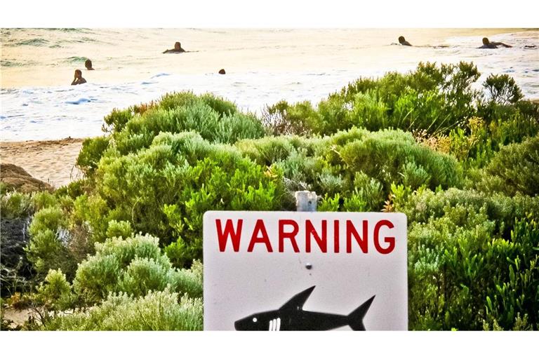 Die Gewässer rund um Australien sind berühmt-berüchtigt: Es kommt immer wieder zu Haiangriffen auf Schwimmer und Surfer. (Symbolbild)