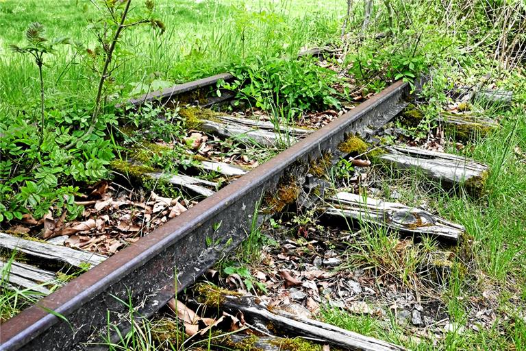 Die Gleise werden schon überwuchert. Eventuell erfährt die Bottwartalbahn aber perspektivisch eine Renaissance. Foto: Archiv/Werner Kuhnle