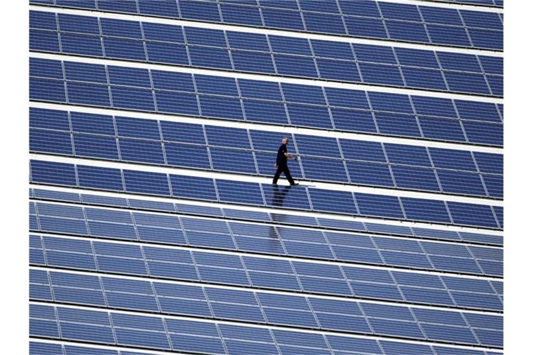 Die große Koalition hatte im Zuge ihres Klimaschutzprogramms angekündigt, Solarstrom stärker auszubauen. Foto: Jens Büttner/zb/dpa