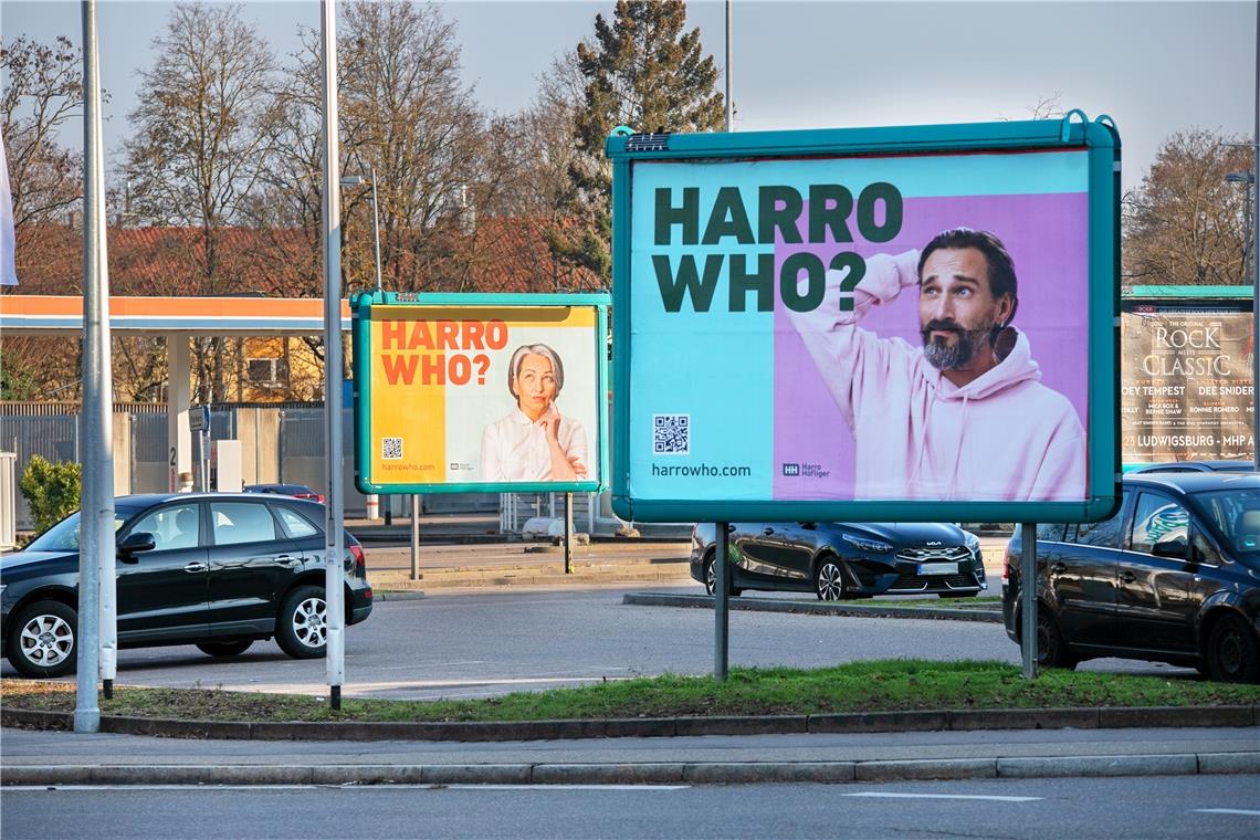 Die großen Plakate mit dem Slogan „Harro who?“ hängen an Bahnhöfen und viel befahrenen Straßen.Foto: Harro Höfliger