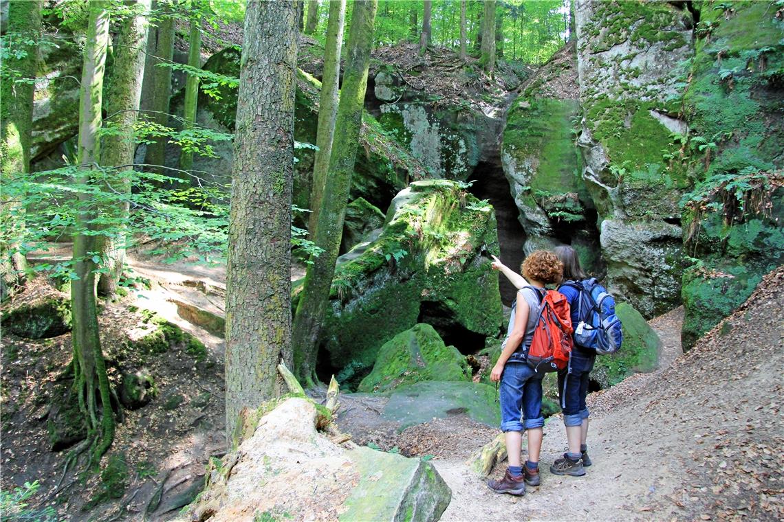 Bessere Perspektive für Leader-Personal Die Hägelesklinge bei Kaisersbach steht symbolisch für die landschaftlichen Reize des Schwäbischen Waldes, der als Leader-Region wieder in das Rennen um Fördermittel aus dem EU-Programm Leader gegangen ist. Foto: Leader-Regionalmanagement
