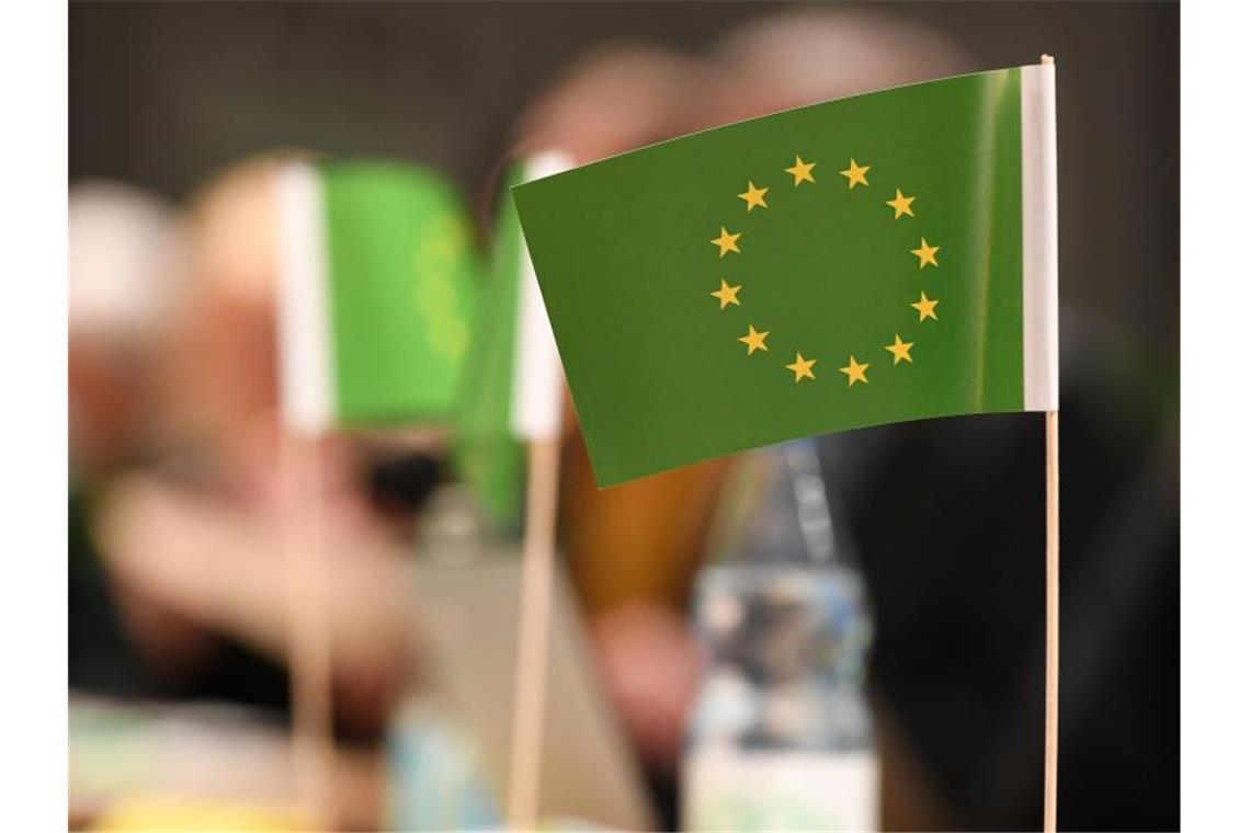 Tausend Milliarden für die Klimawende der EU Die Hälfte des Geldes soll aus dem EU-Haushalt kommen, der Rest aus den Mitgliedsstaaten und von Investoren. Foto: Carmen Jaspersen/dpa