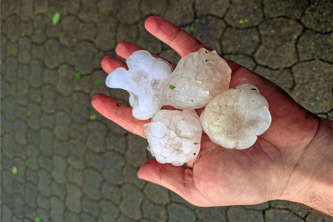 Enorme Schäden im Backnanger Raum durch Hagel am Freitag Die Hagelkörner hatten an manchen Orten Golfballgröße. Fotos: Erik Christmann
