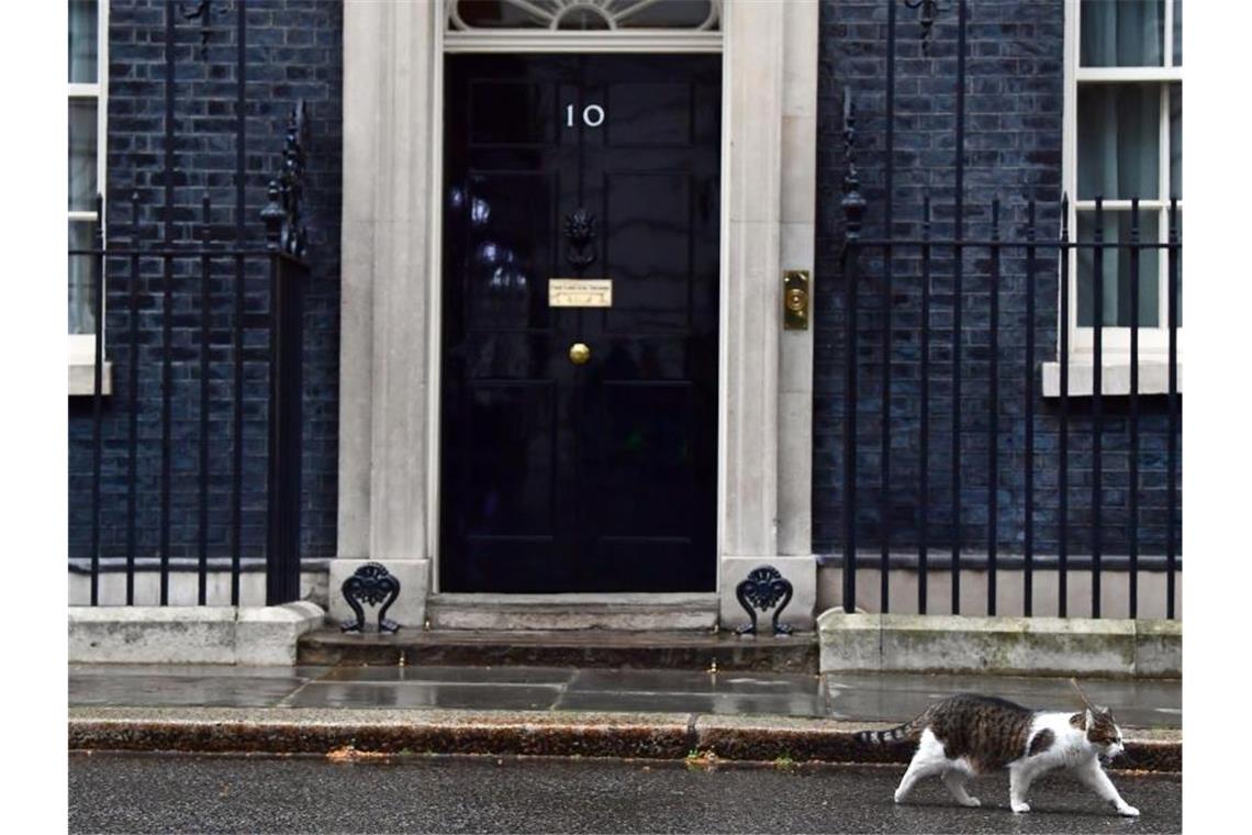 „Brexit-Lügen“: Boris Johnson muss vor Gericht erscheinen Die Haustür der 10 Downing Street in London. Hier wohnt traditionell der britische Premierminister bzw. die Premierministerin. Foto: Victoria Jones/PA Wire