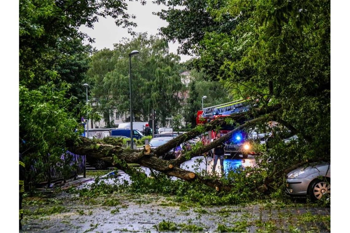 Die heftigen Gewitter mit Starkregen und Überflutungen hinterlassen ihre Spuren. Foto: Julian Stähle