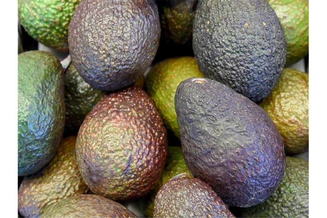 Duden-Buch: Was Avocados mit Geschlechtsorganen zu tun haben Die Herkunft von Lebensmittelwörtern von A bis Z erklärt ein neues Duden-Buch. Foto: Holger Hollemann/dpa