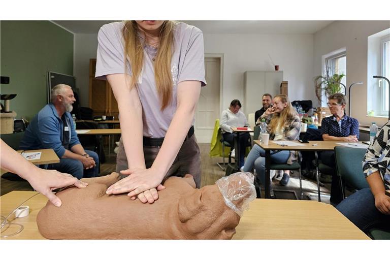 Die Herz-Druck-Massage kann im Erste-Hilfe-Kurs an einem Dummyhund geübt werden.