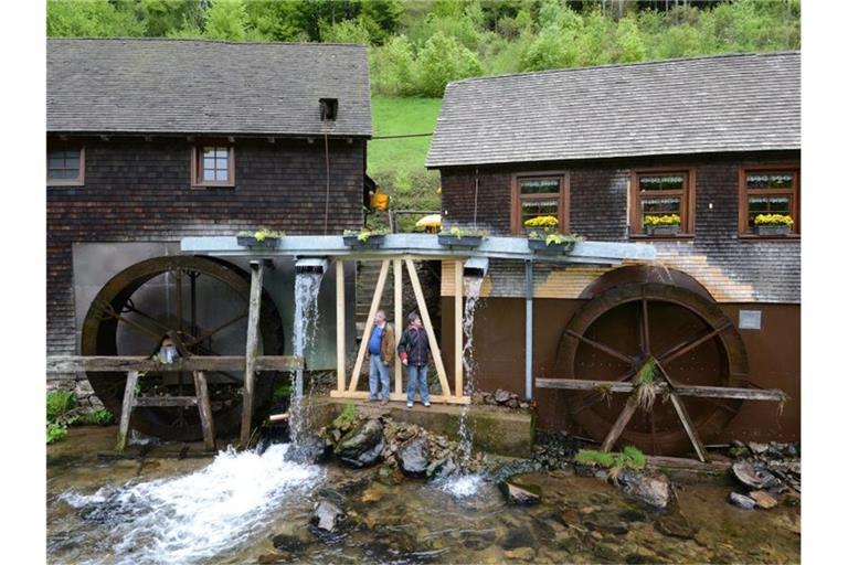 Die Hexenlochmühle bei Furtwangen. Foto: Patrick Seeger/Archivbild