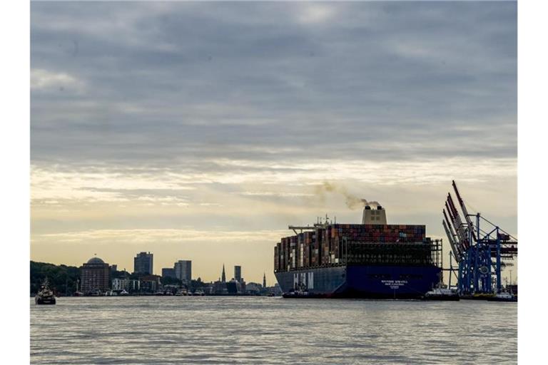 Die „HMM Algeciras“, eines der weltgrößten Containerschiffe, läuft auf der Jungfernfahrt in den Hamburger Hafen ein. Foto: Axel Heimken/dpa