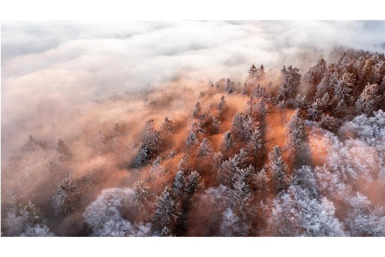 Die Höhenlagen des Taunus rund um den Großen Feldberg ragen am Morgen eines Wintertages aus einem Nebelmeer.